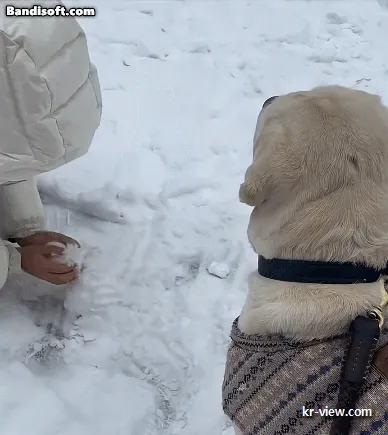 img.webp?credential=yqXZFxpELC7KVnFOS48ylbz2pIh7yKj8&expires=1769871599&allow_ip=&allow_referer=&signature=vqc8oAwyPBo%2B%2FG9Mv%2BUrkPk1DDs%3D