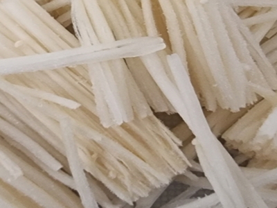 팽이버섯 사진29