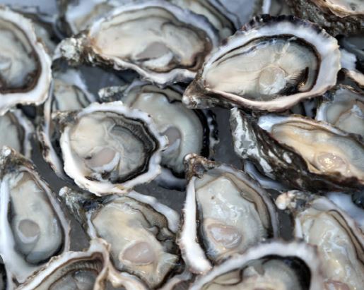 알부민 많은 음식