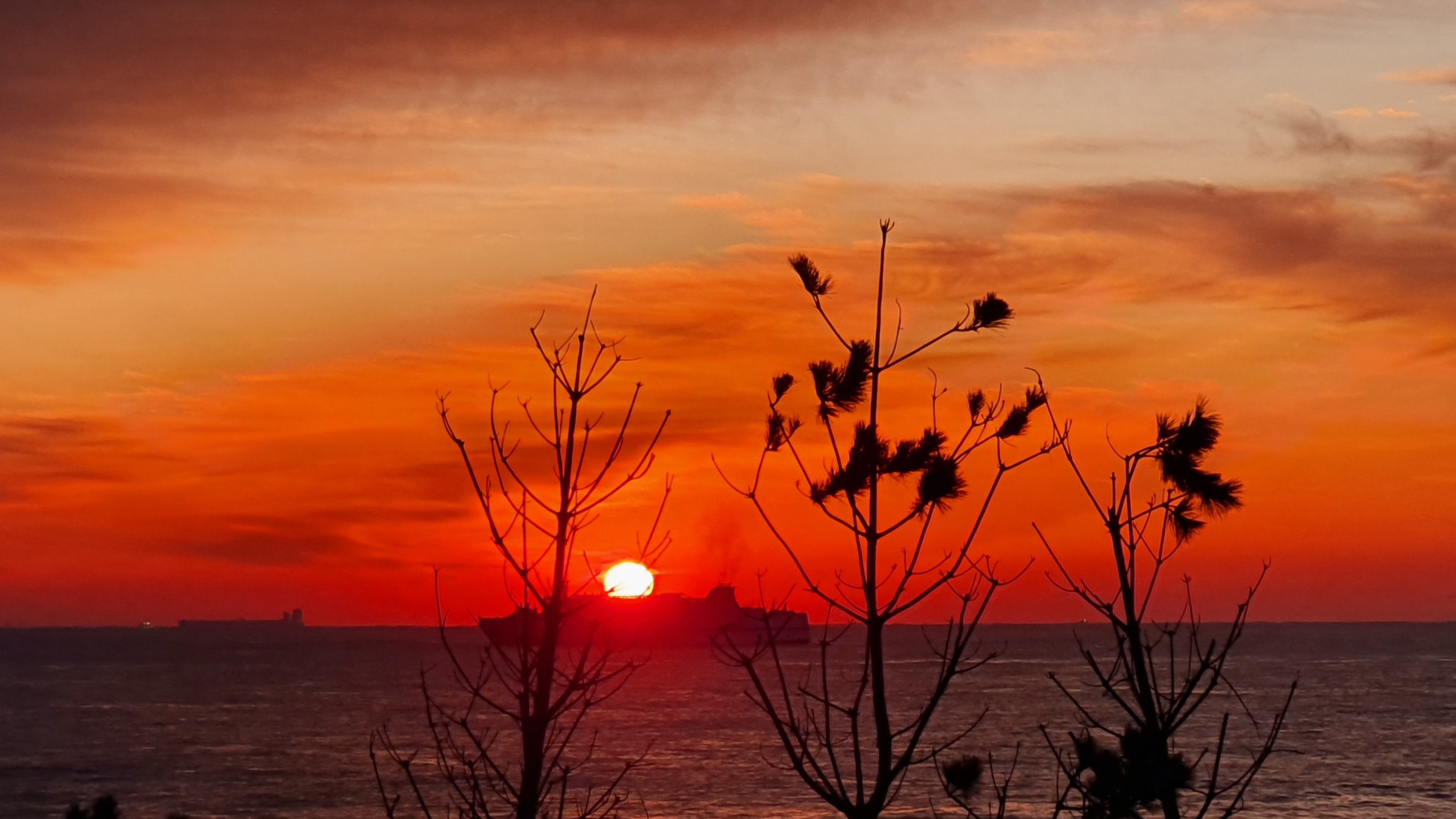 새해 해돋이 명소 (22)