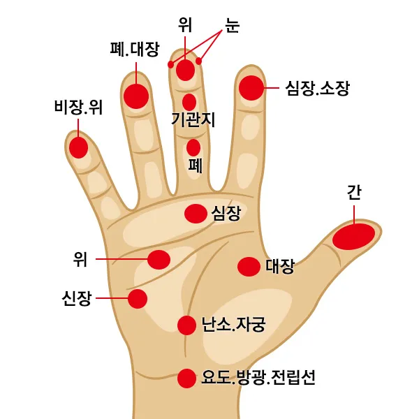 회사에서 졸릴때 잠깨는 혈자리 지압법 효과적 방법_5