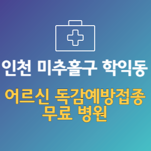 인천 미추홀구 학익동 노인 독감예방접종 무료 병원 (인플루엔자 무료 접종 대상 날짜)