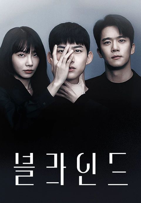 이 사진은 TV N 에서 방영했던 블라인드 라는 드라마의 대표 사진입니다.