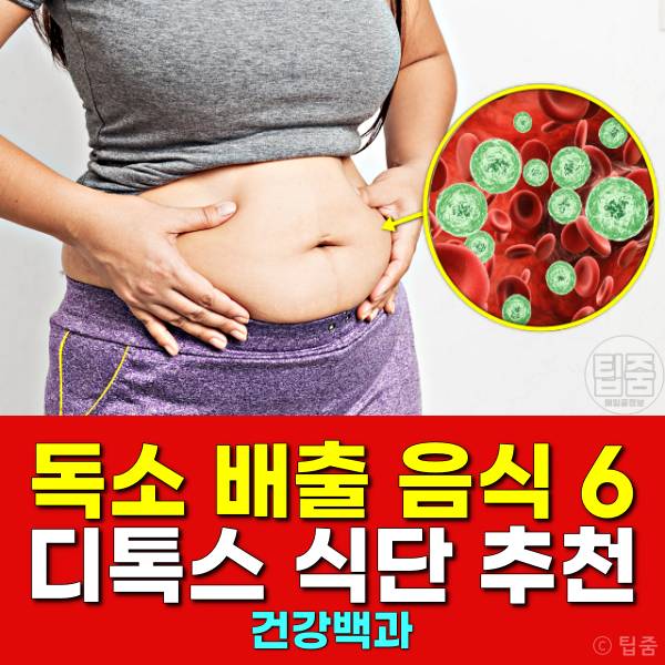 독소배출 음식 디톡스 식단