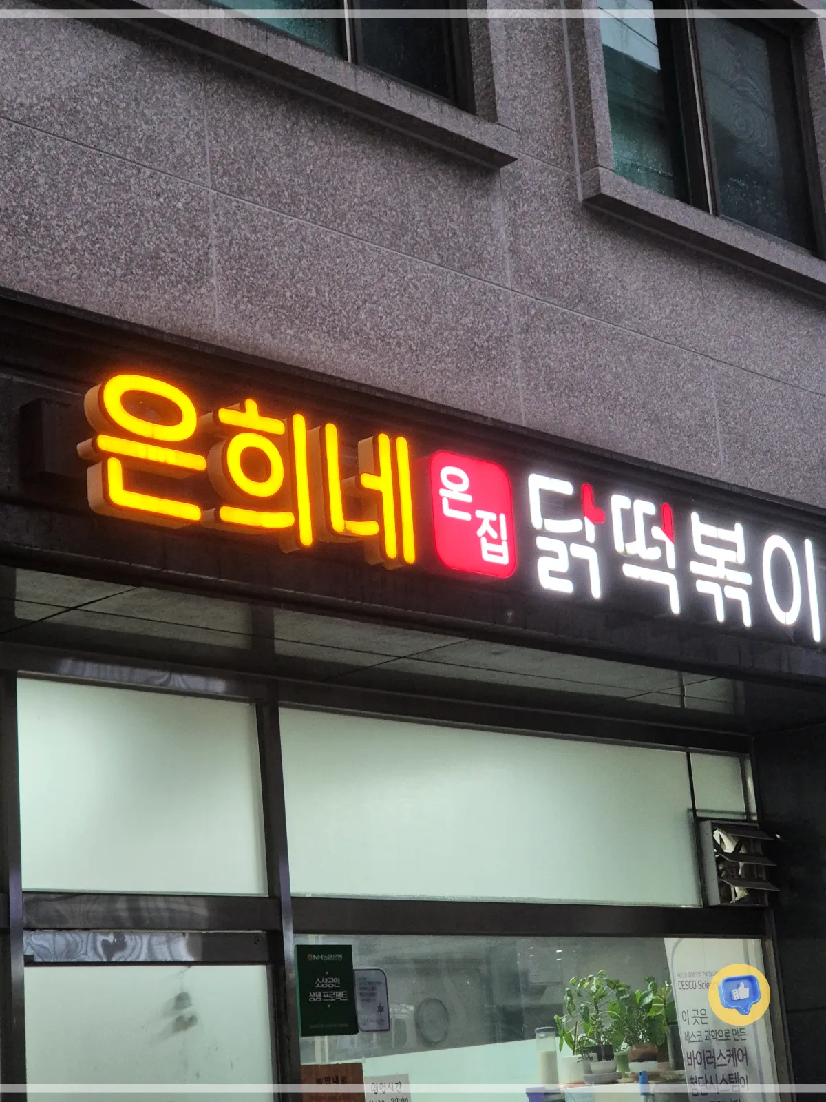 중앙대 상도 맛집 추천