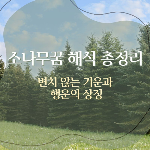 소나무꿈_해석_총정리