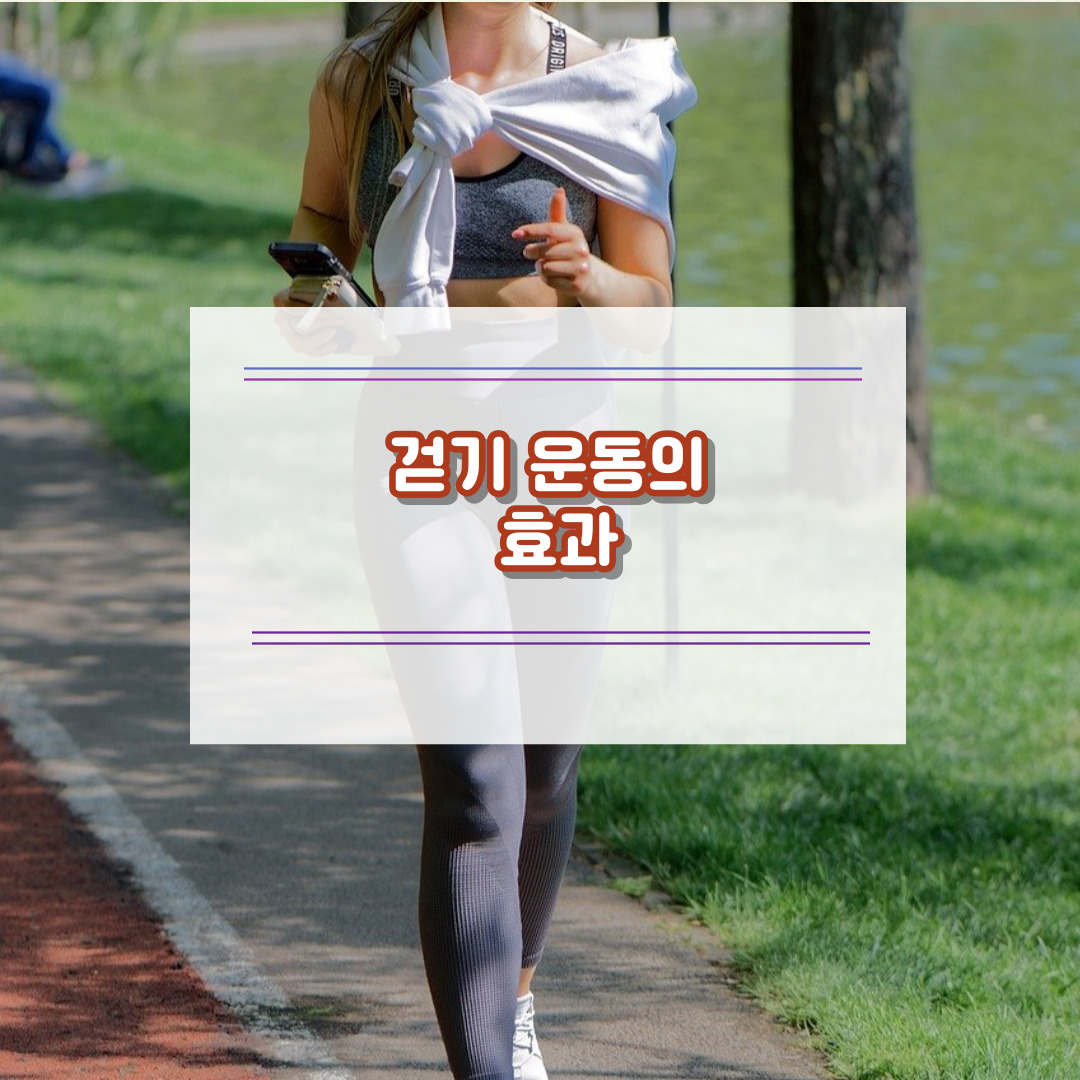 걷기 운동의 효과