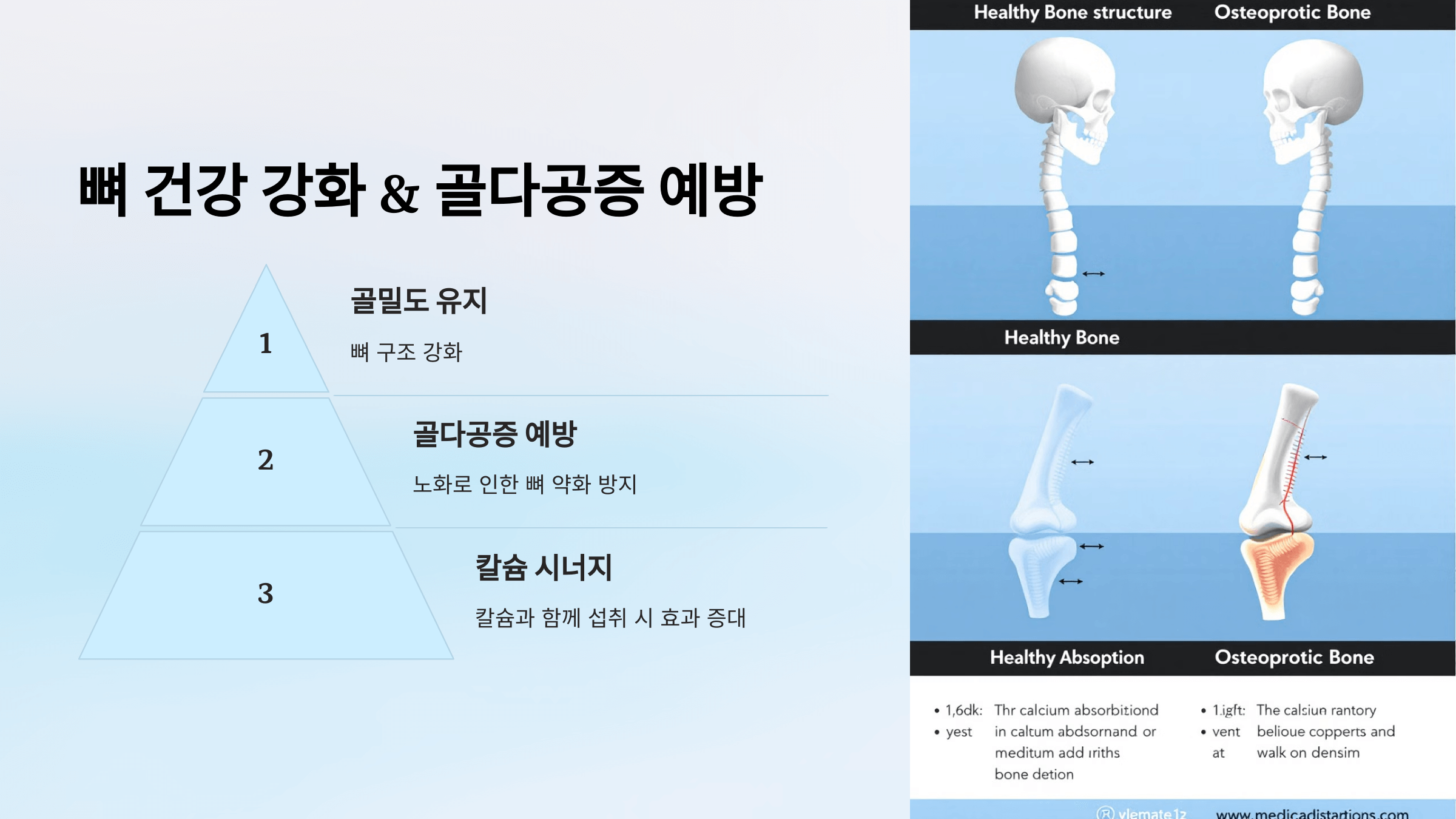 콜라겐과 관련된 사진입니다.