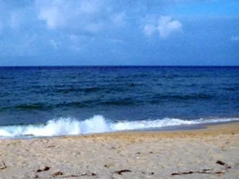 5월 동해 바다낚시 최고 추천 어종과 인기 포인트 완벽 총정리_10