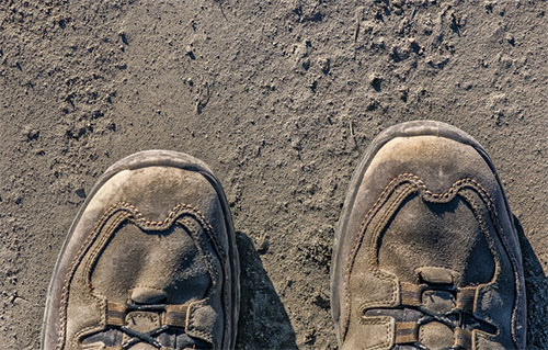 미세먼지 이미지