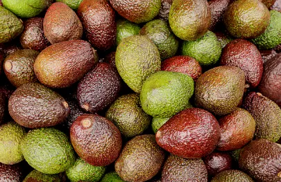 아보카도-보관법-아보카도-후숙방법-건강