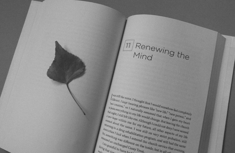 돈에대한 마인드에 관련된 이미지