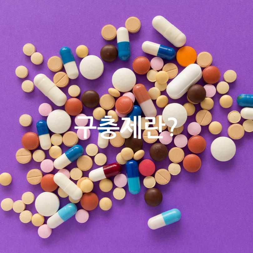 구충제복용법