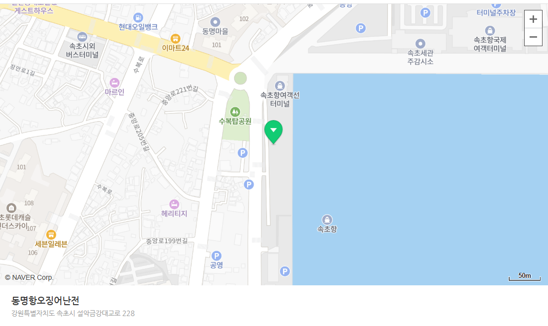 🐙 속초 오징어난전 진짜 맛집은 여기! 2025년 현지인이 추천하는 여행 코스까지