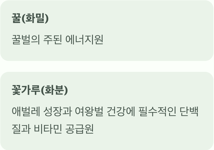 꿀과 꽃가루, 두 가지를 모두 주는 '뷔페'