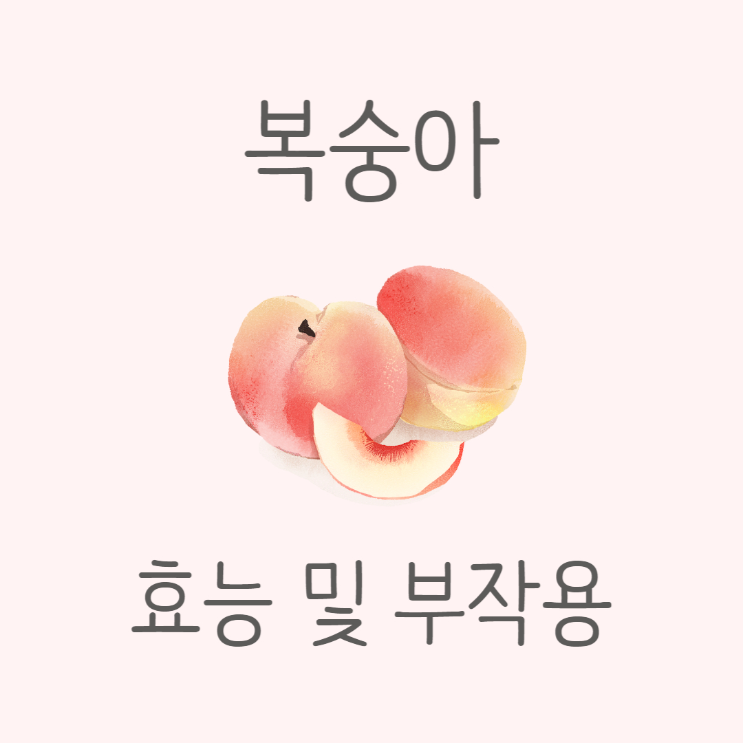 복숭아 효능 부작용