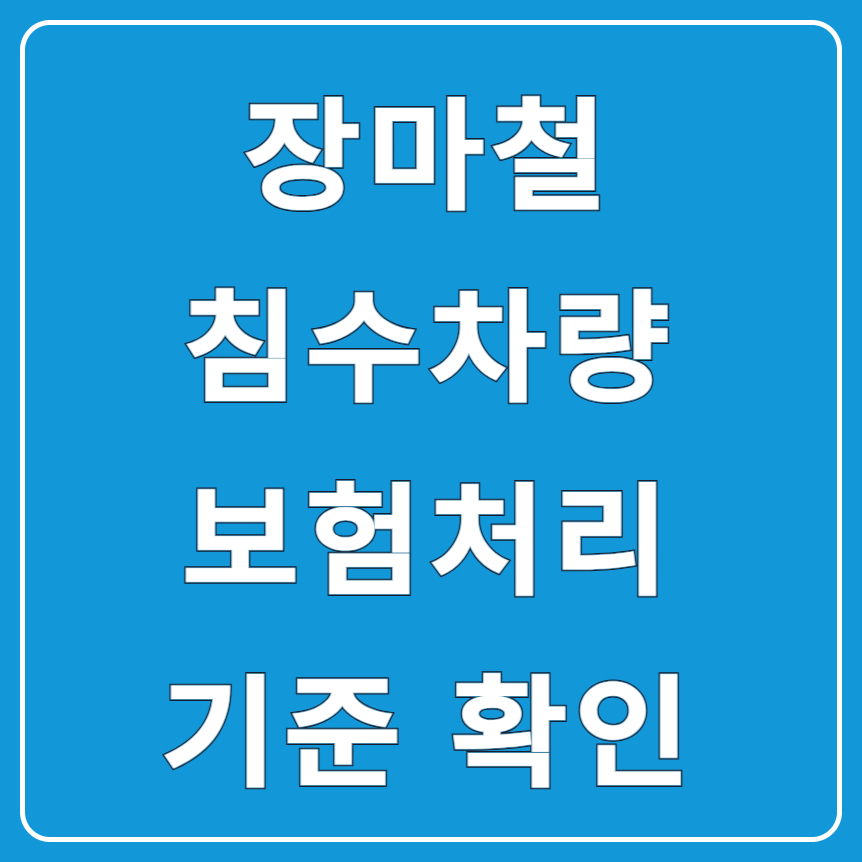 장마철 침수 차량, 보험처리 가능한 조건과 절차는