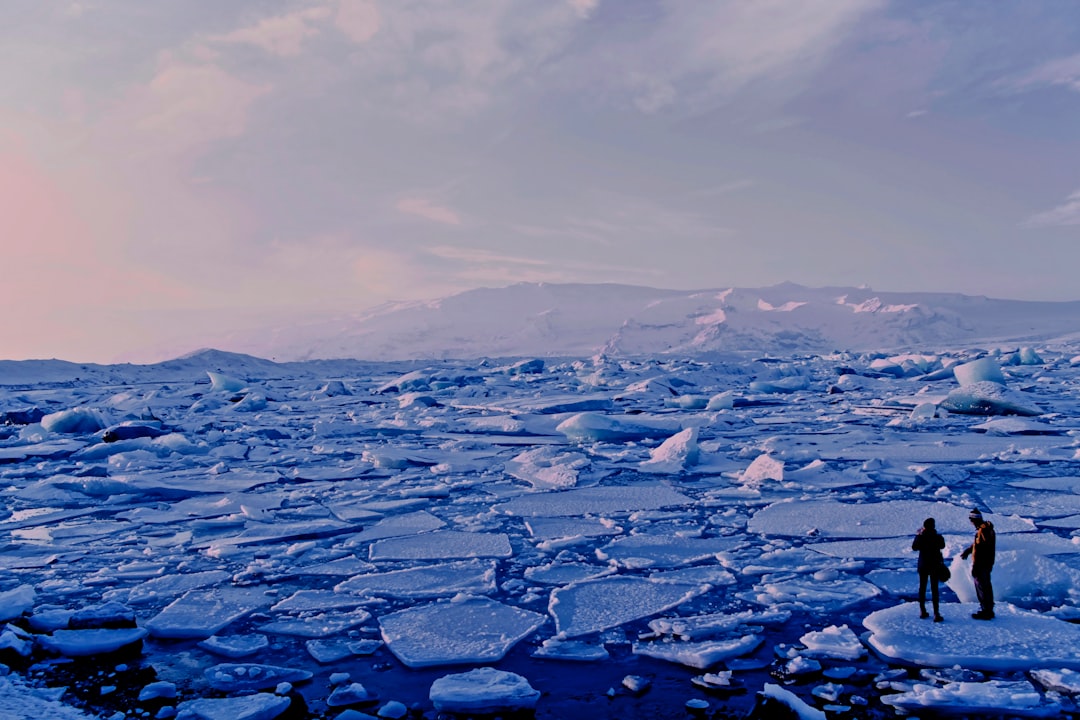 Polar