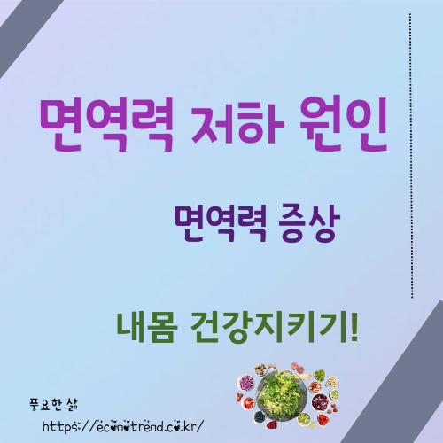 면역력 저하 원인과 나타나는 증상, 내 몸의 건강 신호 알아보기 썸네일