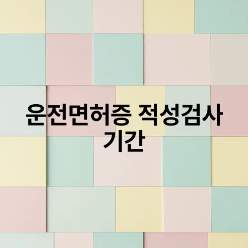 운전면허증 적성검사 기간