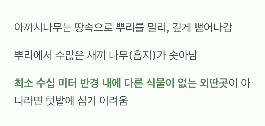 모종이 아닌, '자리'를 골라야 하는 이유