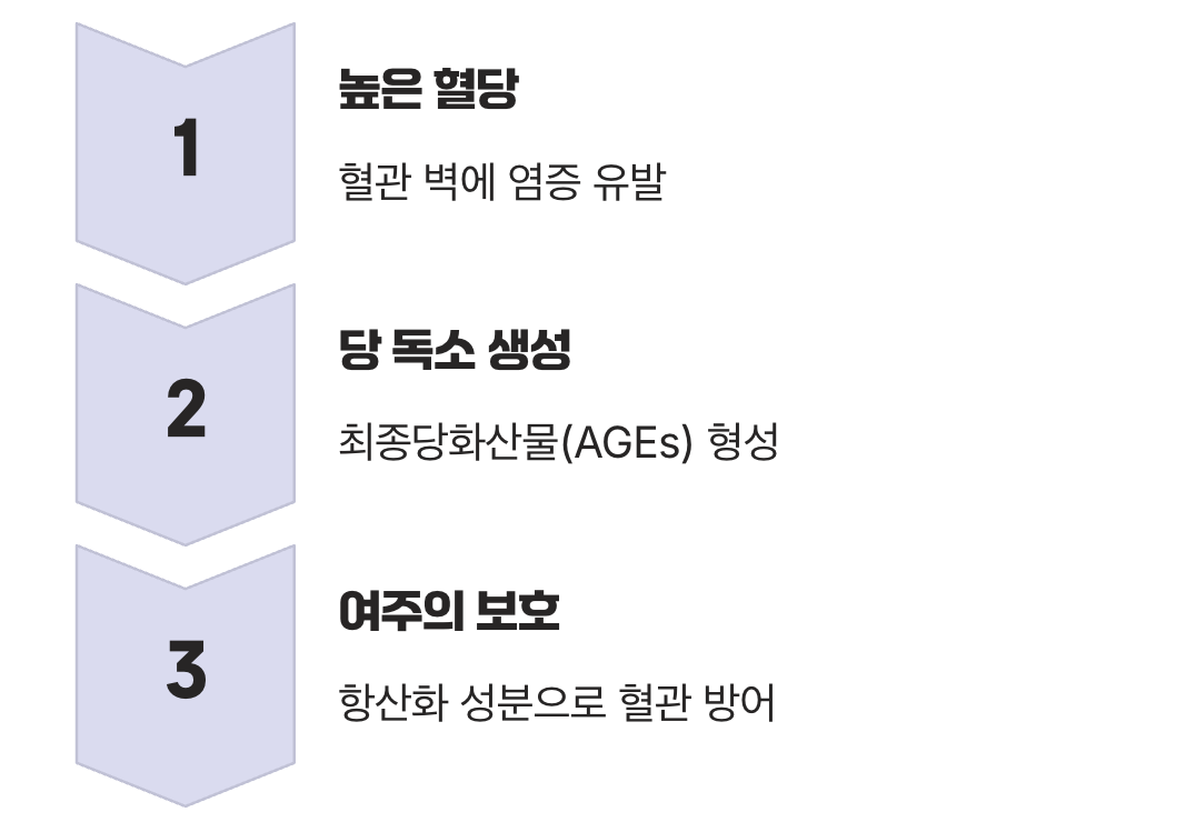 혈관 속 시한폭탄, 당 독소를 막아라