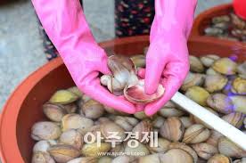 홍성남당항 새조개축제 기본일정과 프로그램 및 초대가수 소개(박서진,임선택, 전미경 출연)