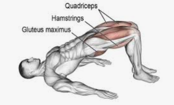 허리 협착증에 좋은 운동 12