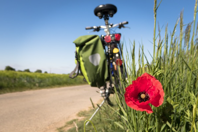 초보자를 위한 로드 자전거 라이딩 실전 팁 4가지