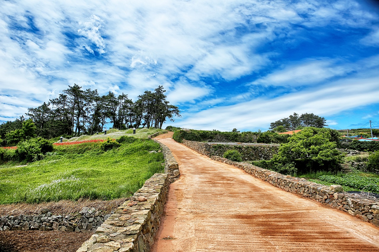 청산도 비경 사진
