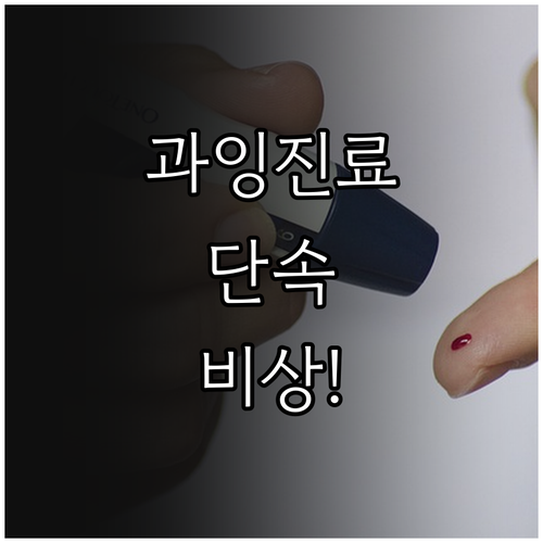 과잉 진료 방지를 위한 관리급여 운영..