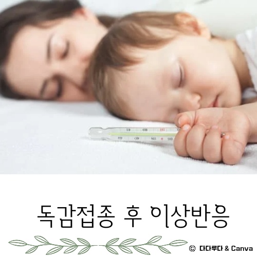 독감 접종후 증상 몸살 열 부으면 이상반응 생기면 신고