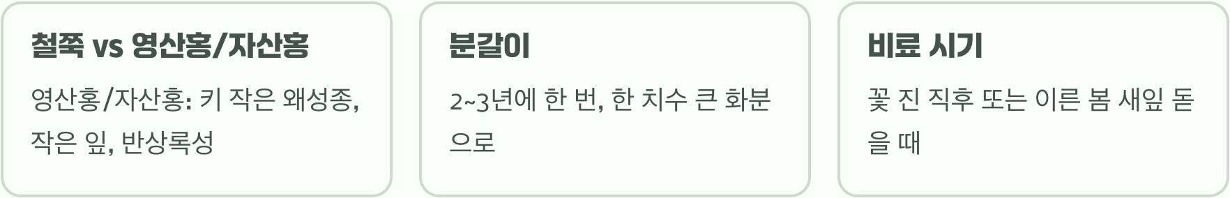 봄의 여왕 철쭉 키우기 A to Z (묘목 심기, 물주기, 가지치기 총정리)