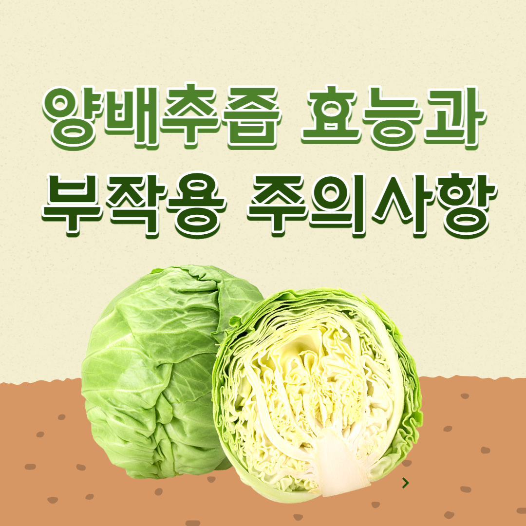 양배추즙의 효능과 부작용 주의사항