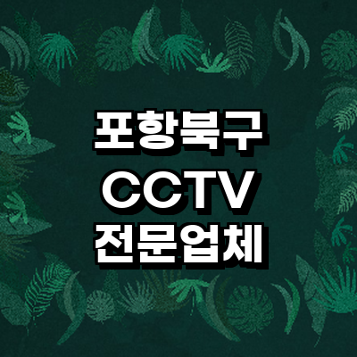 포항시 북구 cctv