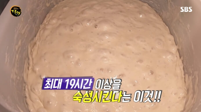 발효종