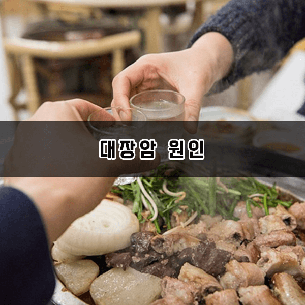 대장암 원인
