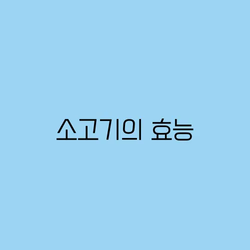 소고기의 효능, 철분이 풍부해 빈혈 예방에 효과적일까?