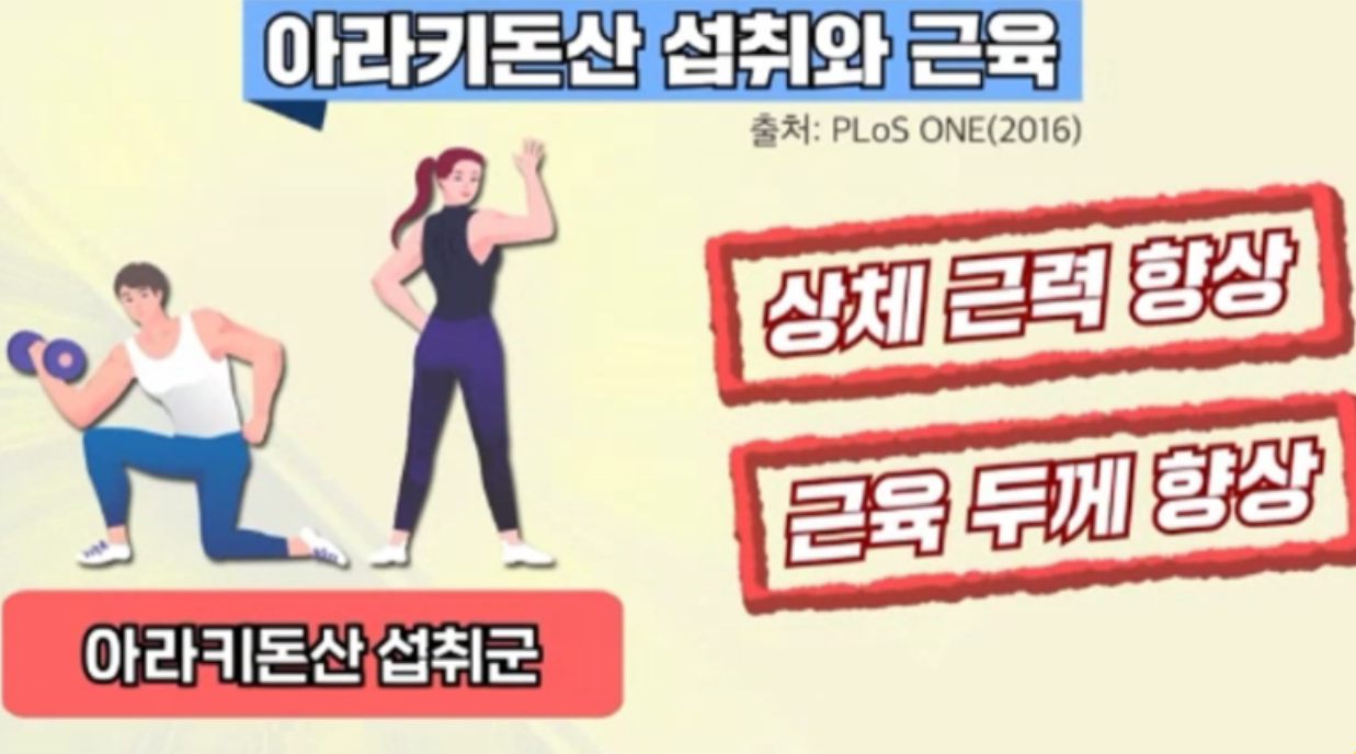 흑염소진액효능