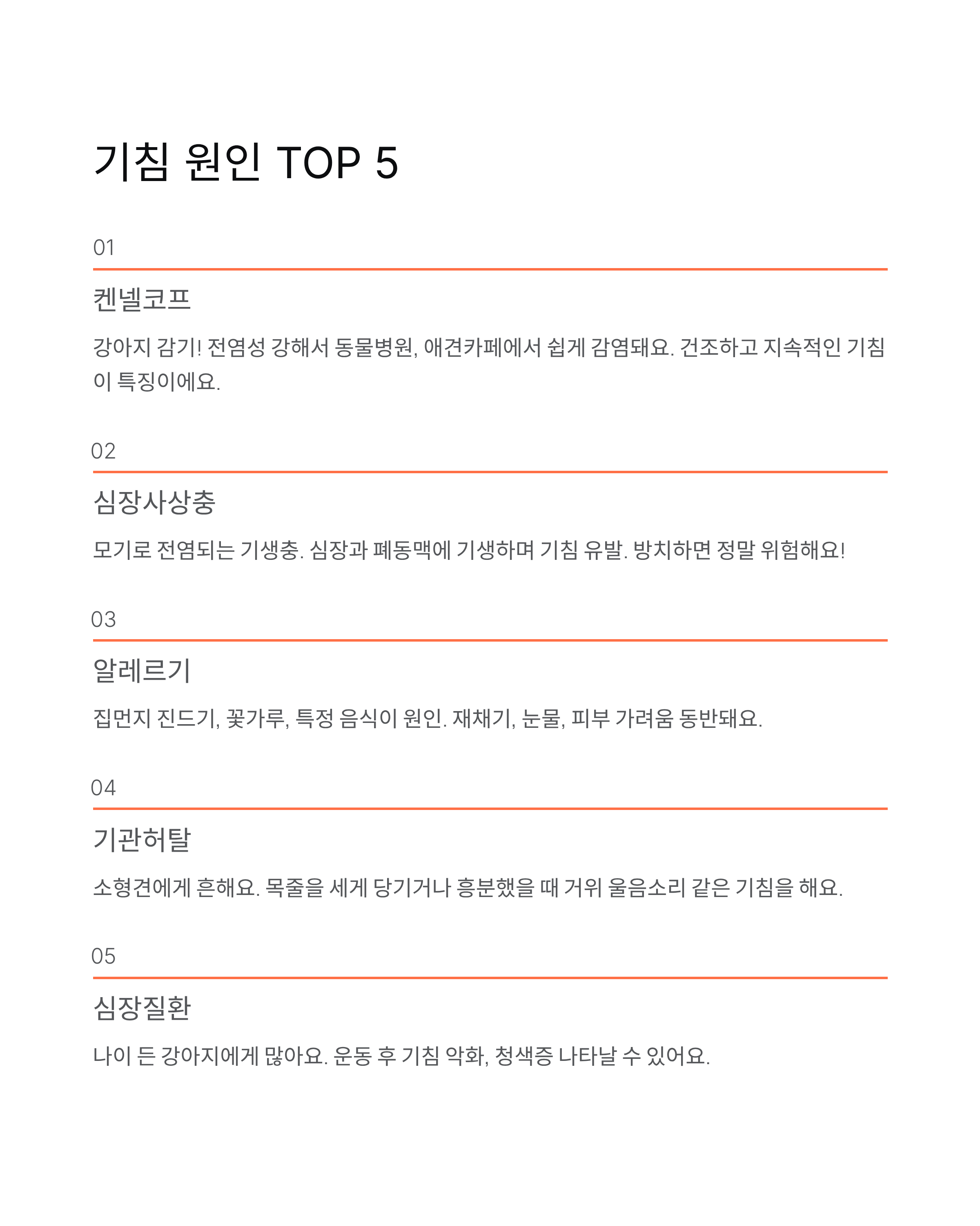 강아지 기침 원인·증상·치료법 총정리! 병원 가야 할 때는?