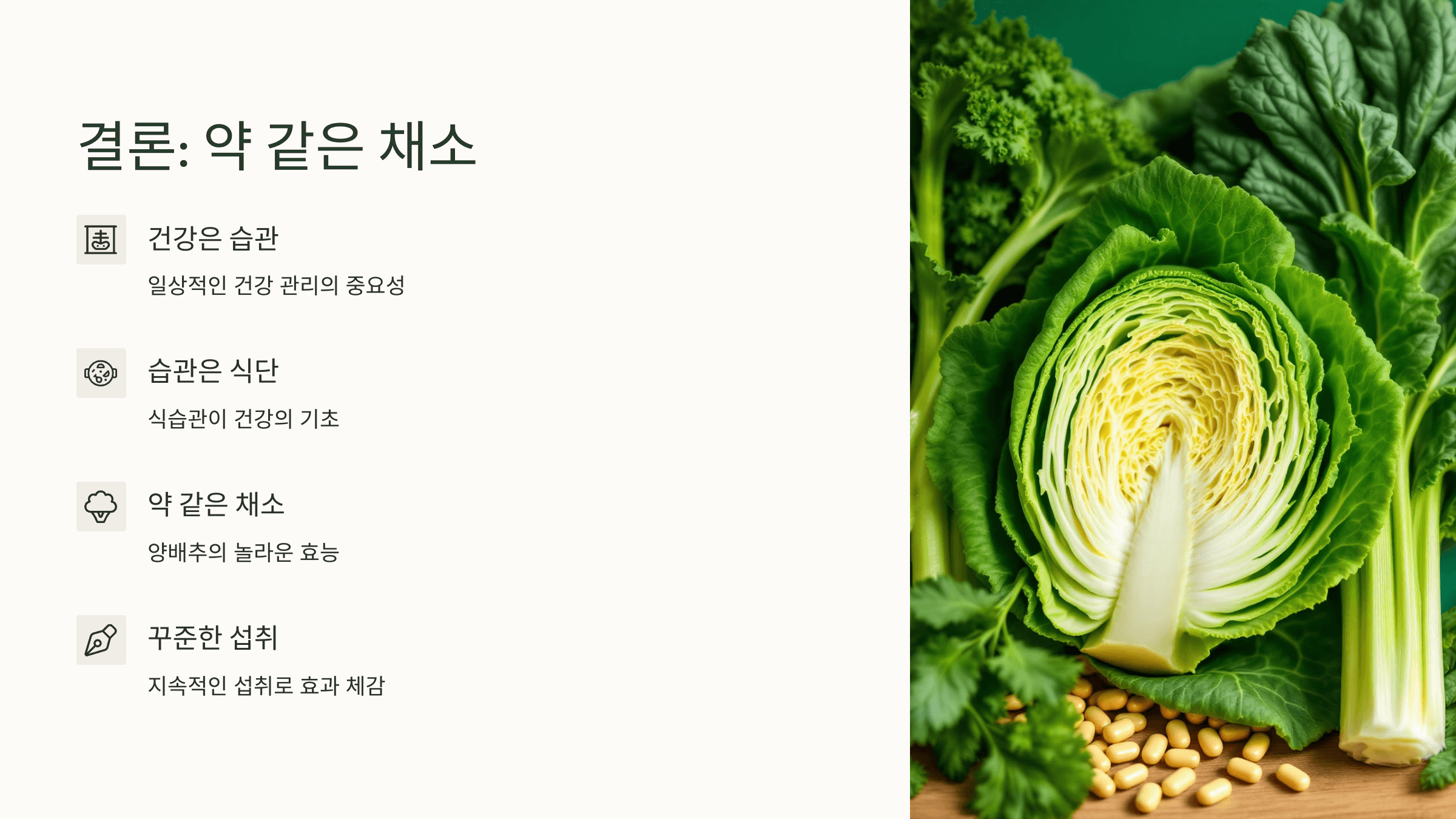 양배추 사진입니다.