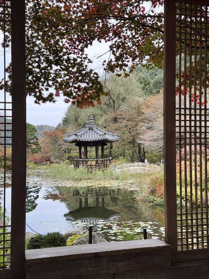 가을빛 가득한 아침고요수목원&amp;#44; 사진으로 담은 정원의 계절