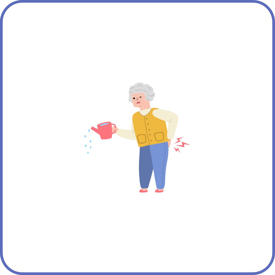 내 보험 조회하기