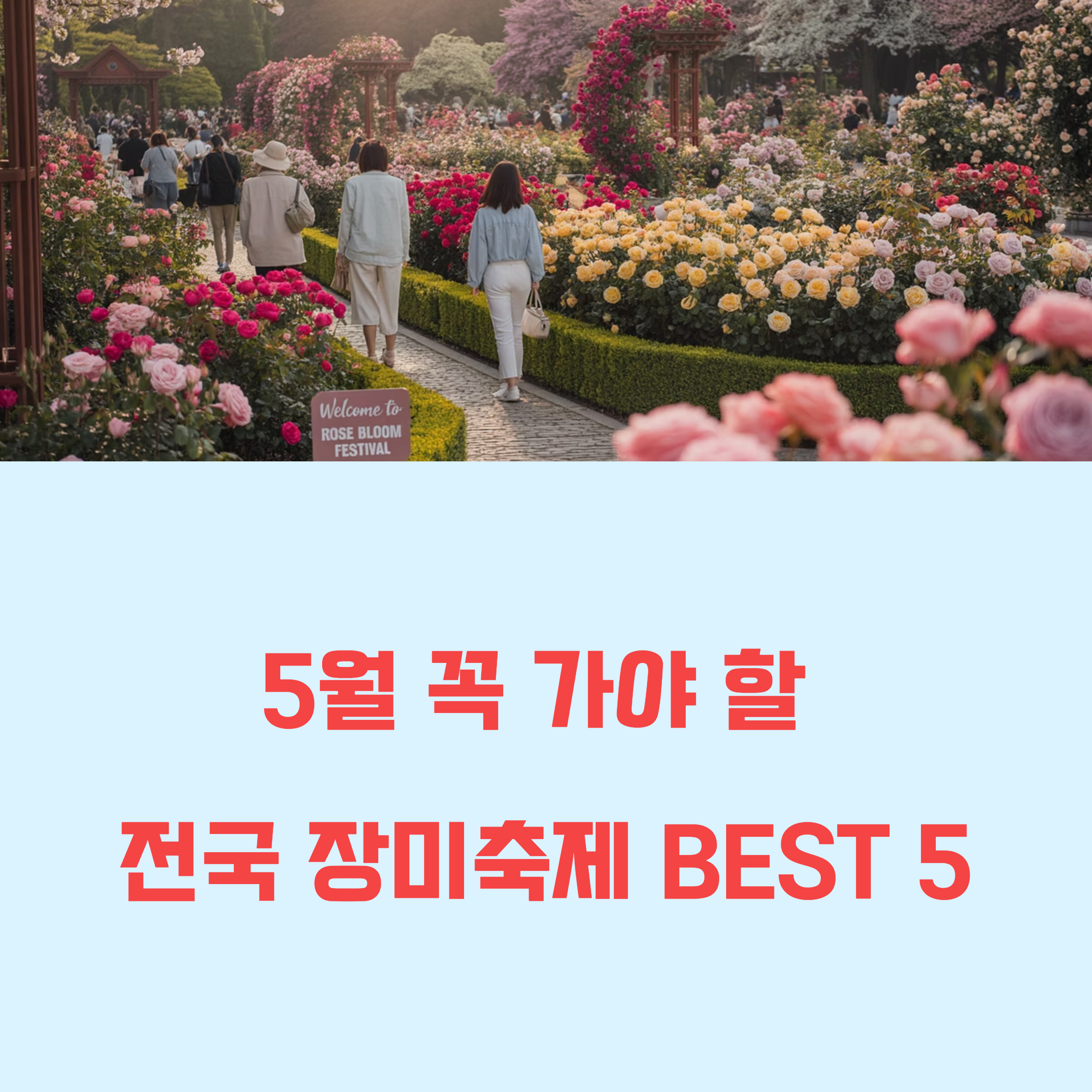 전국 장미축제 BEST 5