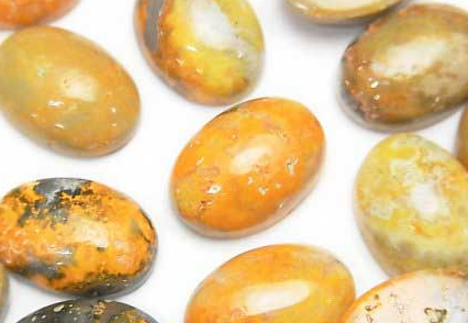 옐로우 제스퍼(범블 비 제스퍼)