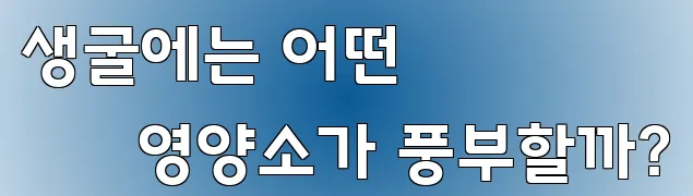 생굴에는 어떤 영양소가 풍부할까?