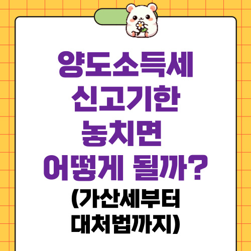 양도소득세 신고기한