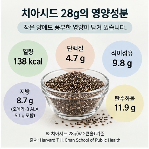 치아시드 28g에 식이섬유 11g이 들어 있음을 보여주는 영양성분 인포그래픽