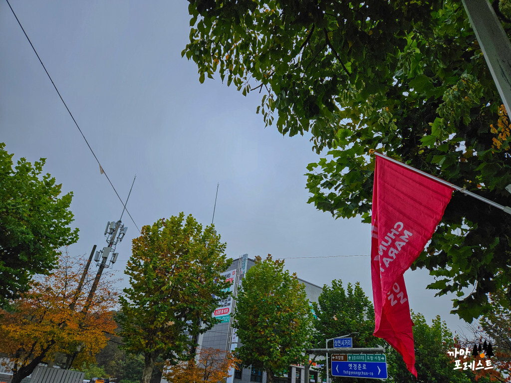 춘천 마라톤 깃발