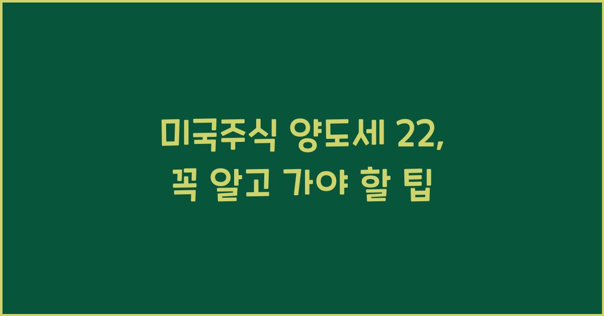 미국주식 양도세 22